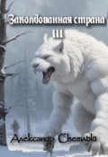 Обложка книги "Заколдованная страна 3: покорение севера"