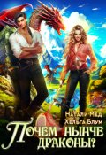 Обложка книги "Почём нынче драконы?"