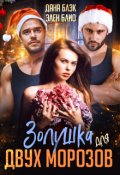 Обложка книги "Золушка для двух морозов"