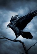 Обложка книги "Первый рейс ("Воронья слава", часть вторая) "