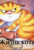 Обложка книги "Жизнь кота"