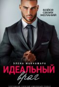Обложка книги "Идеальный враг"