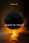 Обложка книги "Выбор За Тобой"