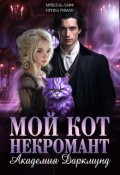 Обложка книги "Академия Даркмунд. Мой кот - некромант"