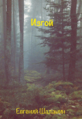 Обложка книги "Изгой "