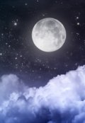 Обложка книги "Атлантида это Луна?"