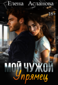 Обложка книги "Мой чужой упрямец"