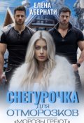 Обложка книги "Снегурочка для отморозков"