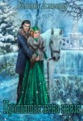 Обложка книги "Пропавшая жена князя"