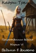 Обложка книги "Прирожденная ведьма Мария Vi. Ведьма в декрете"