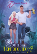 Обложка книги "Воин из Черного леса"