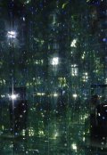Обложка книги "Первый"