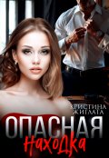 Обложка книги "Опасная находка"