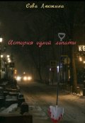 Обложка книги "История одной лопаты "