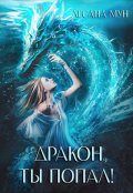 Обложка книги "Дракон, ты попал!"