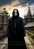 Обложка книги "Профессор Снейп в Китеж-граде"