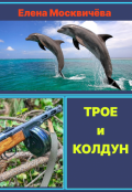 Обложка книги "Трое и Колдун"