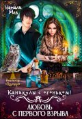 Обложка книги "Каникулы с огоньком. Любовь с первого взрыва"