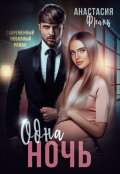 Обложка книги "Одна ночь. Исцели меня любовью"