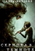 Обложка книги "Скрипка в темноте"