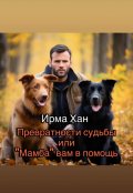 Обложка книги "Превратности судьбы или "Мамба" вам в помощь."