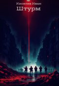 Обложка книги "Штурм"