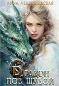Обложка книги "Дракон под шубой"