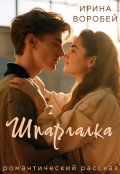 Обложка книги "Шпаргалка"