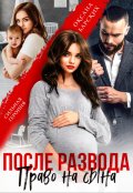 Обложка книги "После развода. Право на сына"