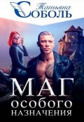 Обложка книги "Маг особого назначения"