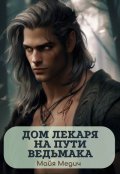 Обложка книги "Дом лекаря на пути ведьмака"