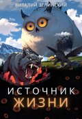 Обложка книги "Источник жизни"