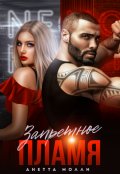 Обложка книги "Запретное пламя"