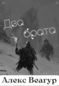 Обложка книги "Два брата"