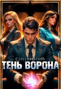 Обложка книги "Тень Ворона"