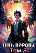 Обложка книги "Тень Ворона - 3"