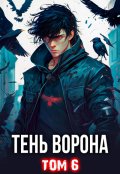 Обложка книги "Тень Ворона - 6"
