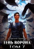 Обложка книги "Тень Ворона - 7"