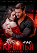Обложка книги "Верни мои крылья"