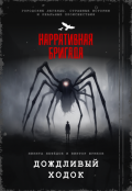 Обложка книги "Дождливый ходок"