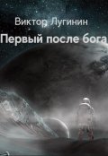 Обложка книги "Первый после бога"