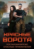 Обложка книги "Красные ворота"