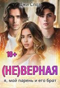 Обложка книги "(не)верная. Я, мой парень и его брат"
