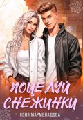 Обложка книги "Точки соприкосновения. Поцелуй Снежинки "