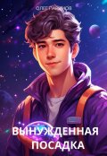Обложка книги "Вынужденная посадка"