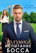 Обложка книги "Золушка. Испытание босса (бонусная версия) "