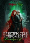 Обложка книги "Практическая некромантия. Выживут (не) все"