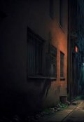 Обложка книги "Анасекта "