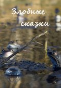 Обложка книги "Иван-царевич 6"