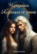 Обложка книги "Чародейка. Ходящая по Грани"